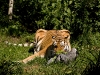 zoo_280708
